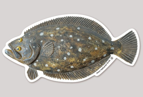 Flounder-1
